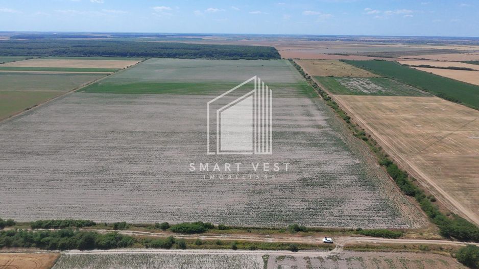 Teren agricol 96.500 mp | Zona Aeroportul Satu Mare - Poză 4