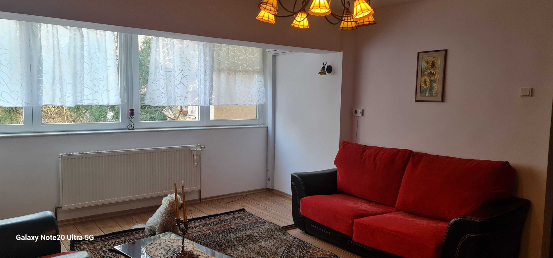 BRASADAS vinde ap 3 cam Careiului. - Poză 2