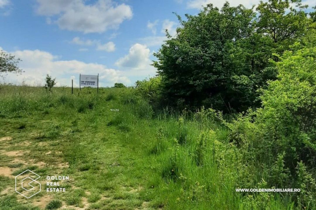 Teren intravilan 2880 mp, DJ 572 Lipova - Poză 2