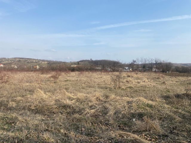 Posibilitate investitie! Vanzare teren intravilan in Razvad - Poză 3