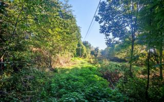 TEREN INTRAVILAN | FRATĂUȚII NOI | 1.1 HA - Poză 9