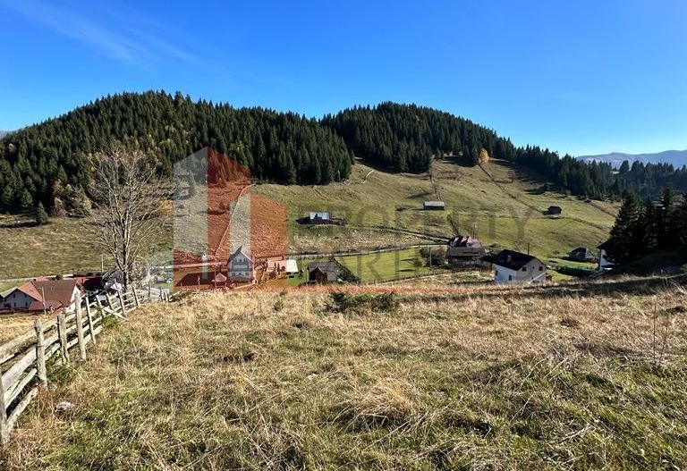 Teren Fundatica intravilan 4500 mp - Poză 9