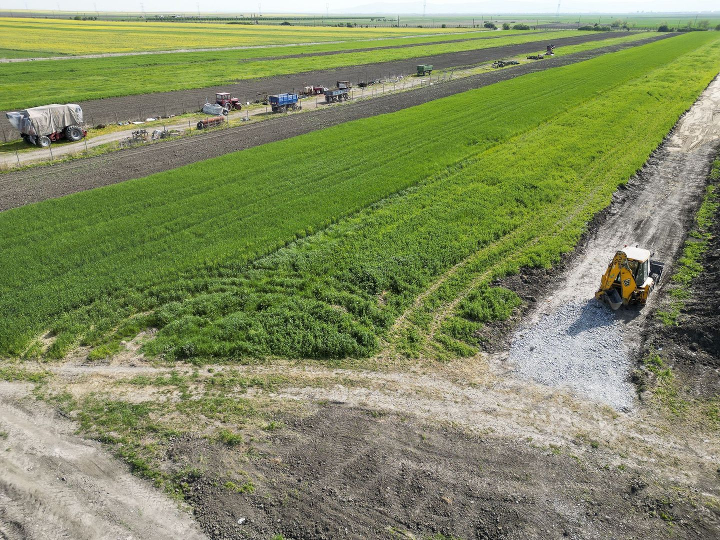 Loc de casa de 504 mp în Livada - Poză 8