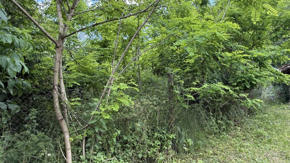 Teren intravilan 683 mp deschidere la strada asfaltata ! - Poză 15
