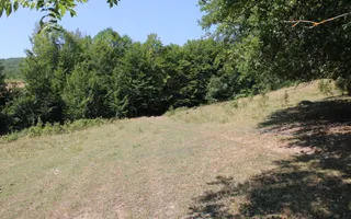 Terenuri Carpinis I parcelabil I Curent pe proprietati - Poză 79