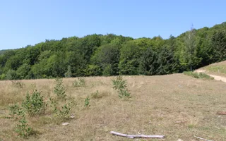 Terenuri Carpinis I parcelabil I Curent pe proprietati - Poză 39