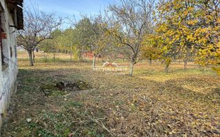 NECTORA IMOB-Teren cu livada matura+Anexa racordata la trifazic,9162mp - Poză 3