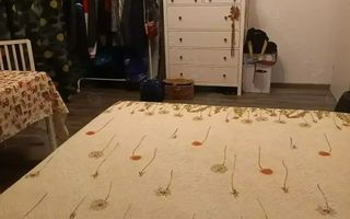 Vânzare apartament 3 camere decomandat cu centrală Str.Turnu Măgurele - Hornbach - Poză 8