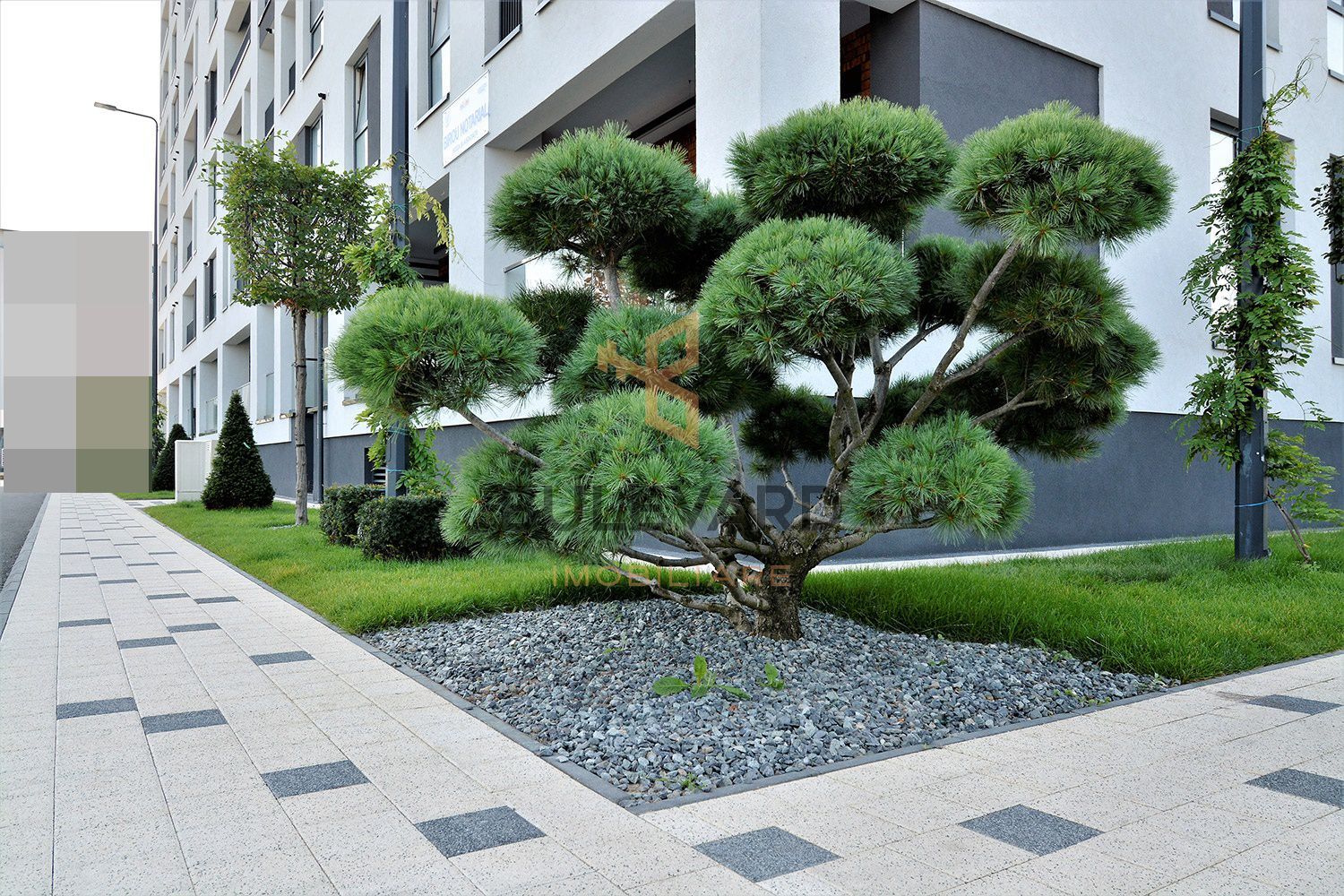 Penthouse de 135 mp+ terasa de 210 mp! - Poză 2