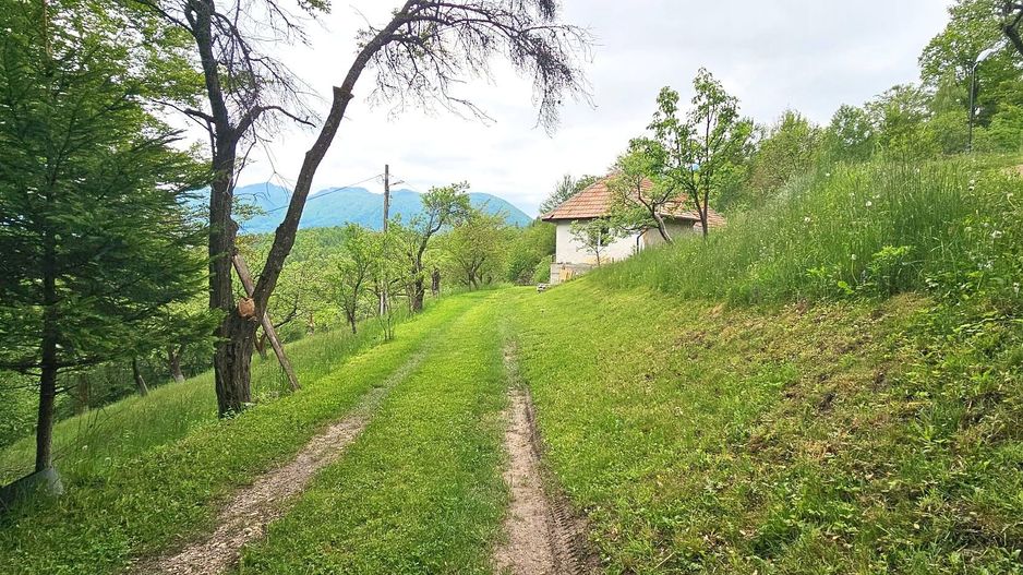 Domeniu Premium 1.7 Ha Intravilan Zărnești | Lizieră Pădure | Ideal Resort - Poză 11