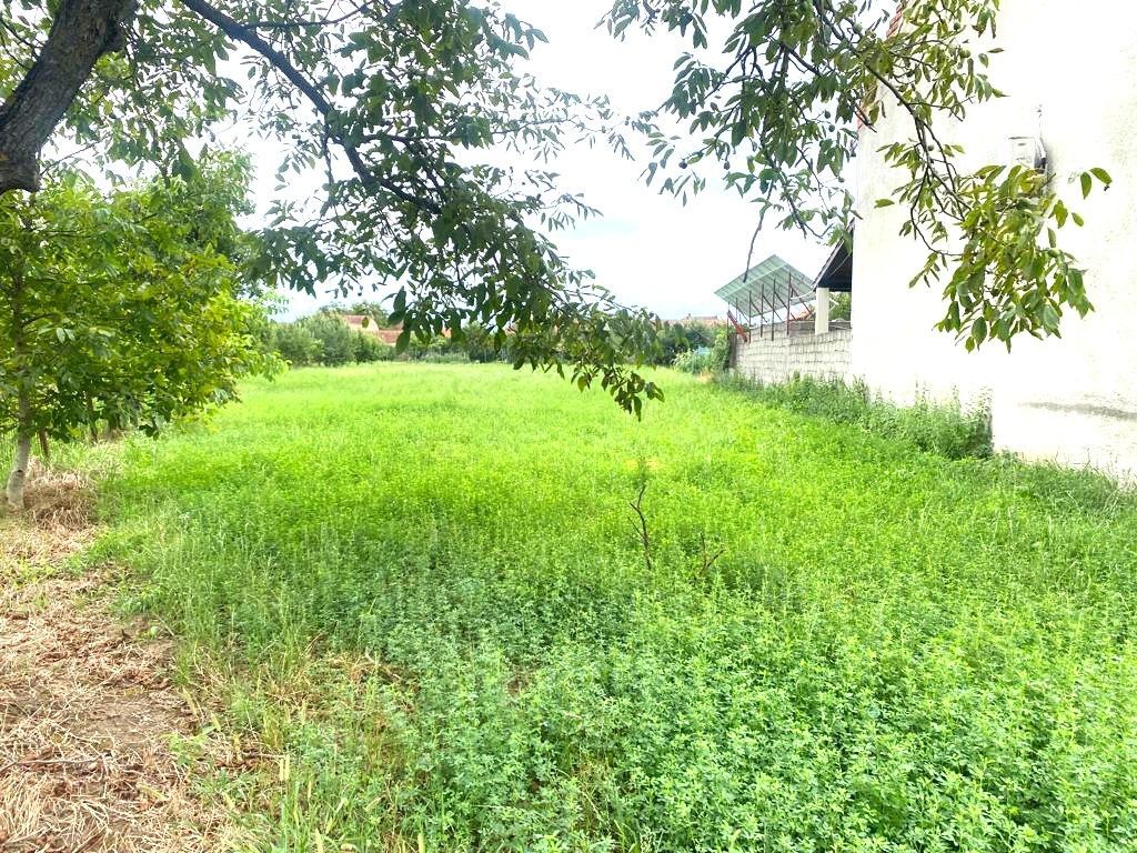 Teren de vânzare Lugoj - Poză 2