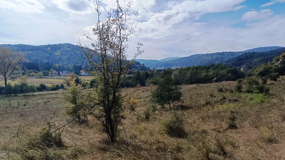 teren in zona Bradet-Sacele - Poză 8