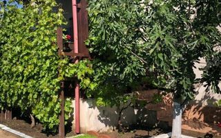 Vila - parter + mansarda -   Sendreni,  jud. Galati - Poză 7