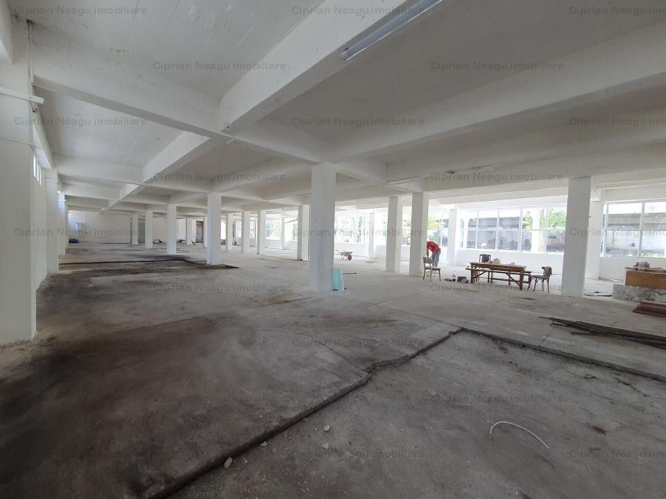 Hala Depozitare de Inchiriat Pitesti - Poză 10