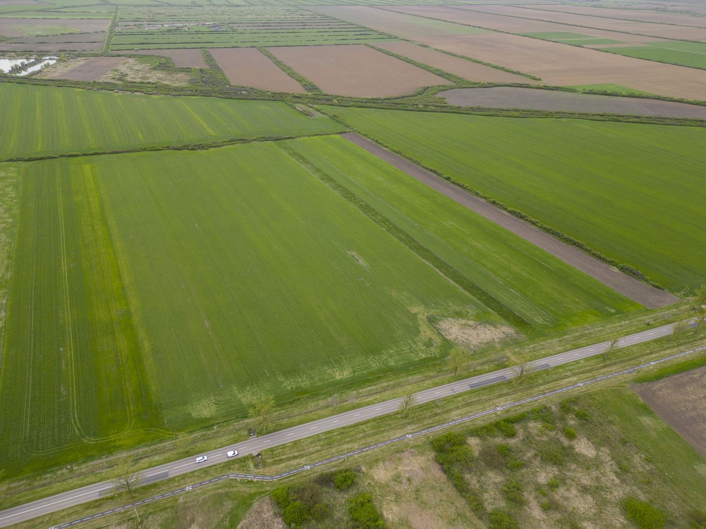 Teren extravilan de 22500mp Zona Ineu - Poză 8