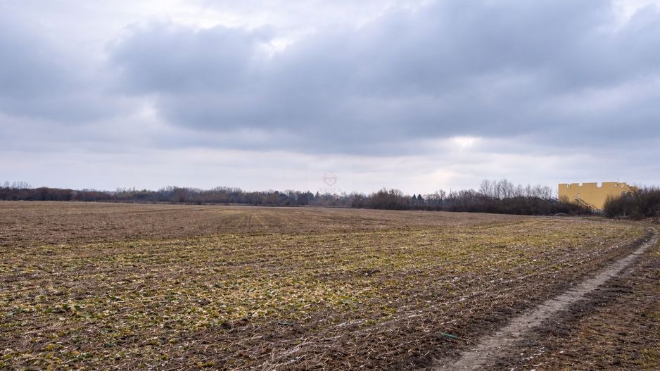 Teren Gruiu Snagov investitie vile - Poză 4