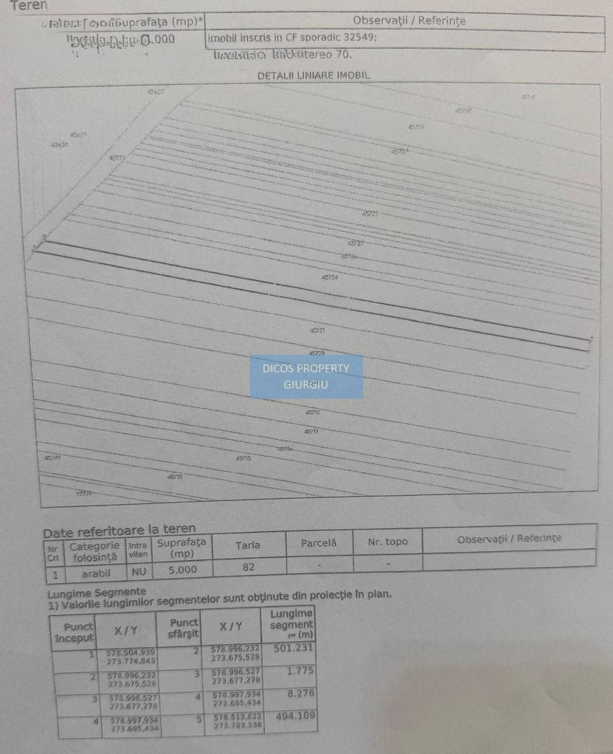 Teren extravilan 5000 mp – deschidere DN5 - Schiță 2