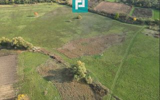 Rezidență de vis pe Valea Mureșului la Lalașinț - Poză 29