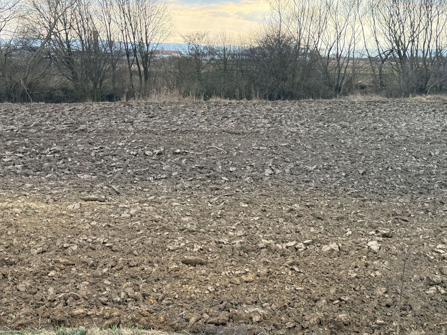 Teren extravilan | Rădăuți | 36 ARI - Poză 8