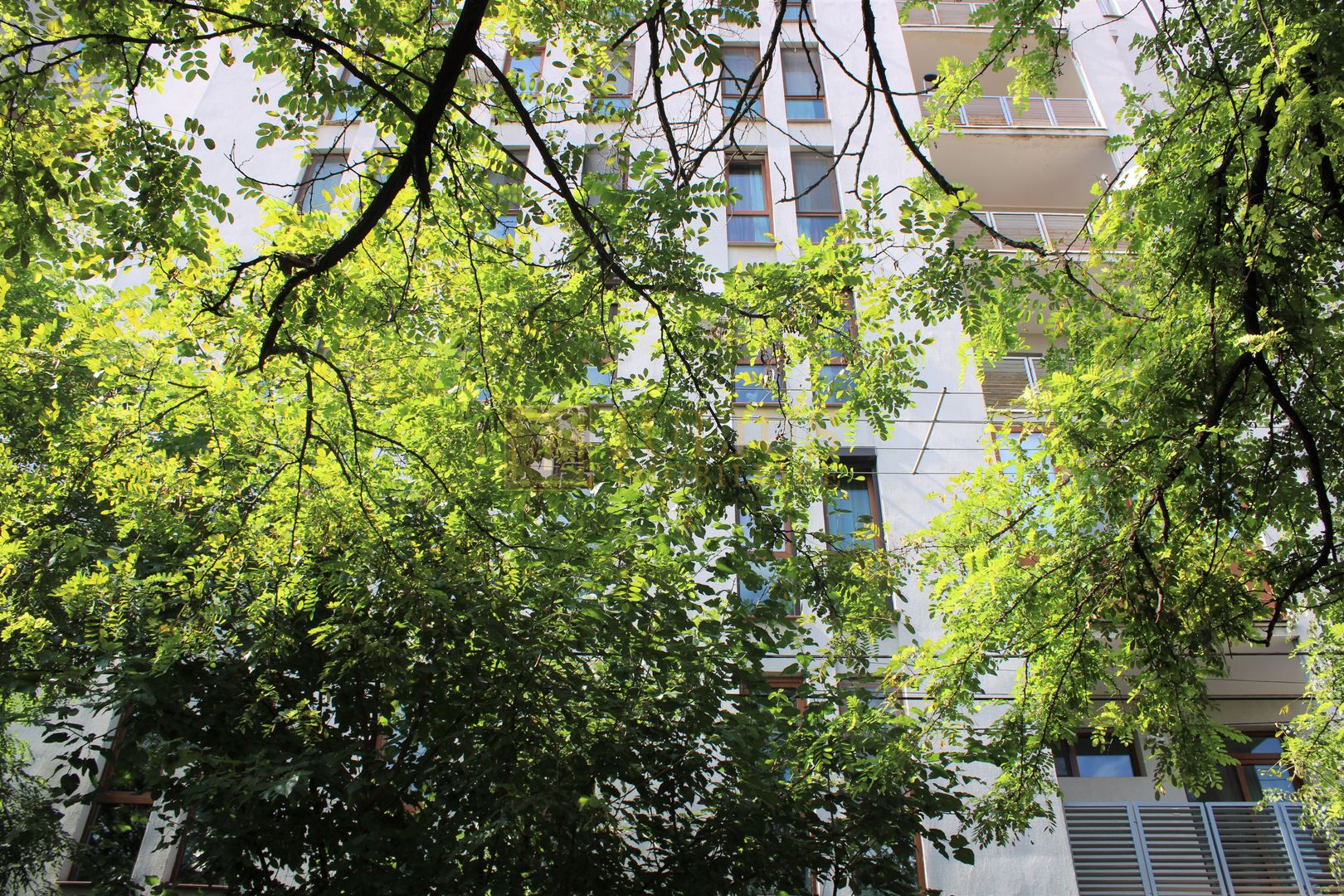 Complex Studentesc - semicentral 60mp UTILI; bucatarie inchisa. - Poză 18