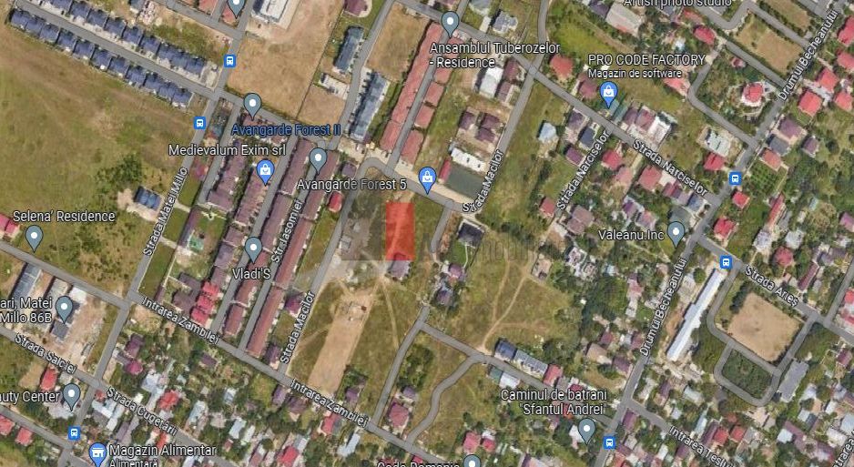 Teren Intravilan Matei Milo - Poză 3