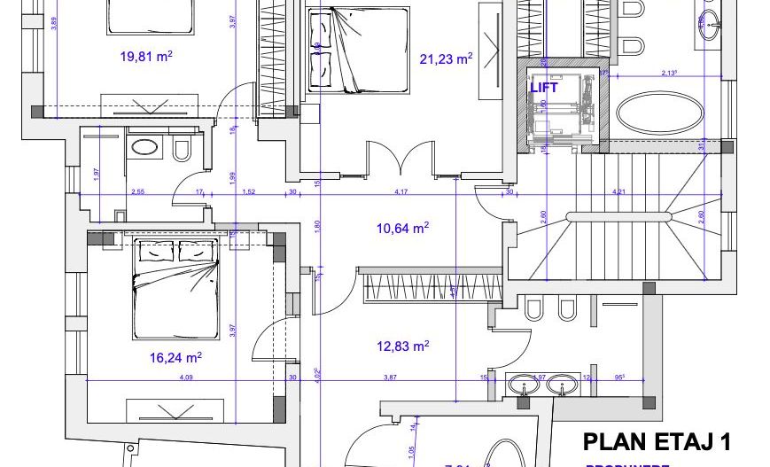 Vila individuală interbelica 16 camere Primaverii, Dorobanti, Beller - Poză 10