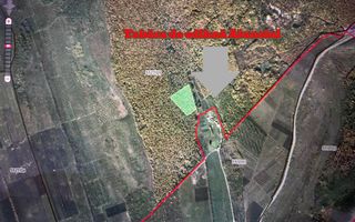 Pădure de vânzare - 2 Ha pentru Agroturism - Poză 4