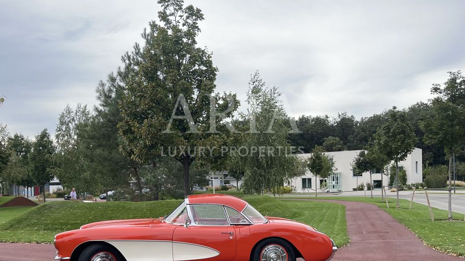 Dumbrava Vlasiei – Armonie între design, lumină și natură - Poză 12