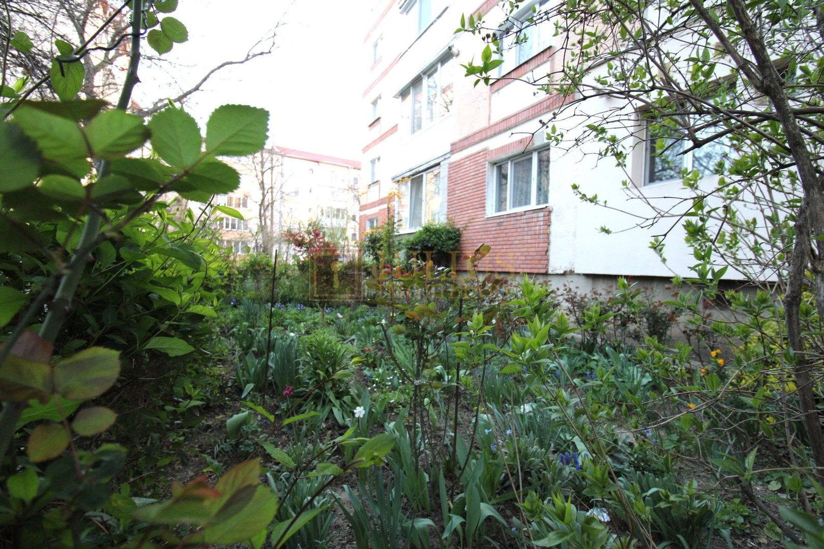 Soarelui, decomandat, centrala proprie, et 2/4. - Poză 24