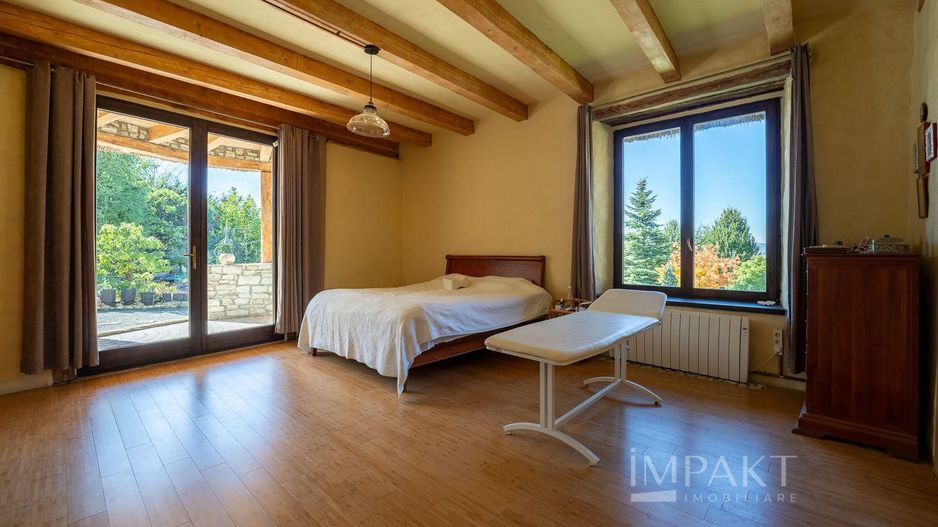 De vanzare casa unica pe teren de 3400mp, cu iaz si gradina - Borhanci - Poză 29