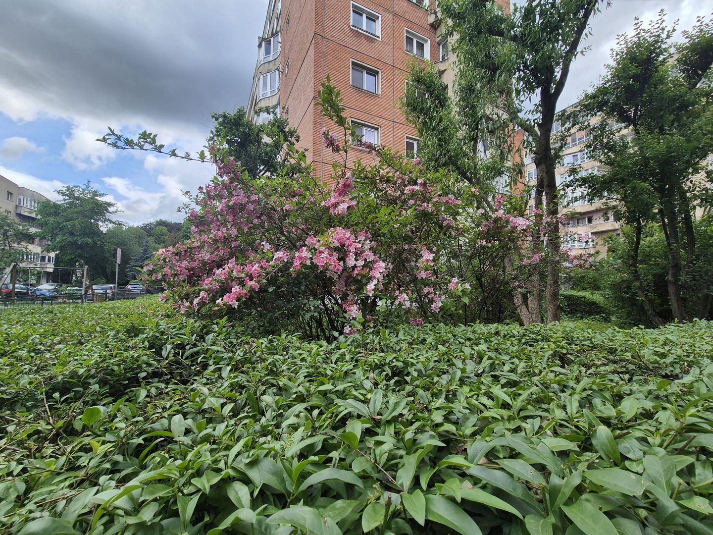 Exclusivitate - Imobil la cheie, ideal birouri sau locuință, la prima închiriere - Poză 1