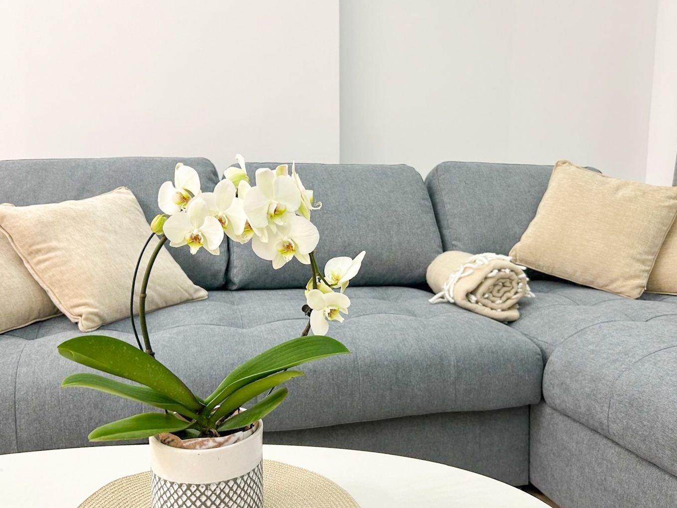 Chirie I Apartament 3 camere I Cortina North - Poză 3