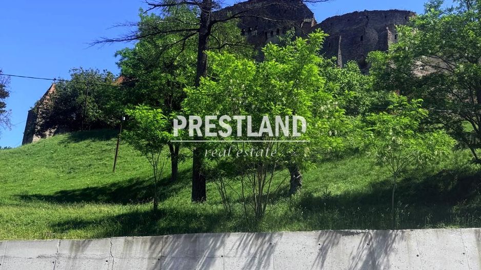Casa modesta ,situată in Slimnic - Poză 9