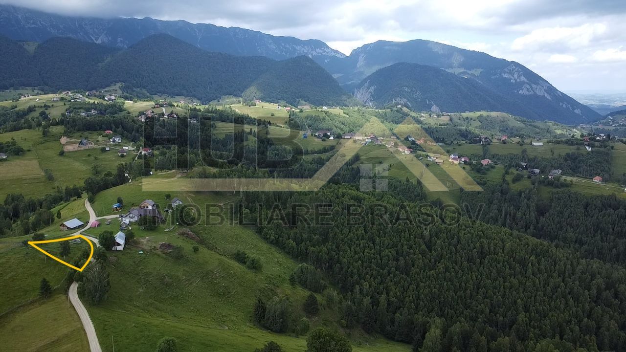 Oportunitate Investitie | Teren Pestera | 4.807mp | Utilitati Gaz/Curent - Poză 7