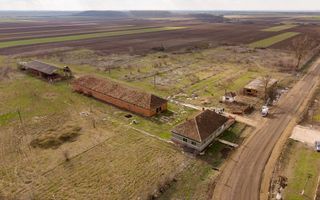 Fermă cu teren intravilan de 35000 mp în Mișca - Poză 1