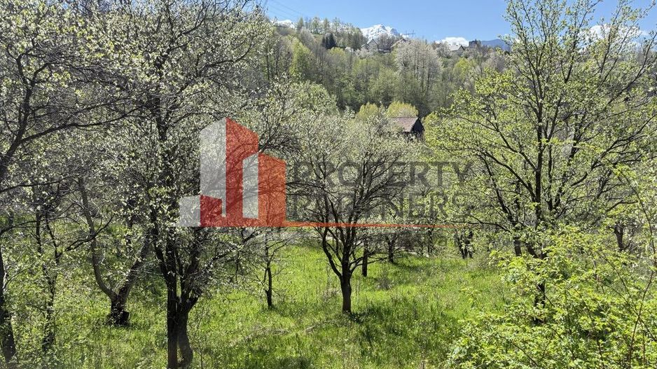 Teren 2500 mp Sohodol - Poză 17