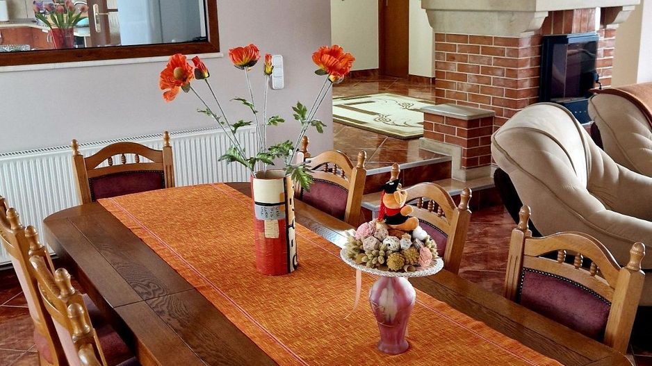 Vand casă  350 mp cu teren 55 arii in localitatea Iojib - Poză 6