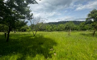 TEREN INTRAVILAN 4600 MP, VOINESTI, LERESTI, ARGEȘ - Poză 7