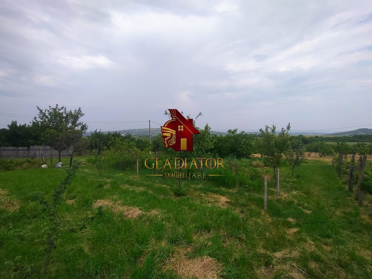 Casa + garaj + 5400 mp teren in Tomesti Goruni, zona de vis, nu rata - Poză 15