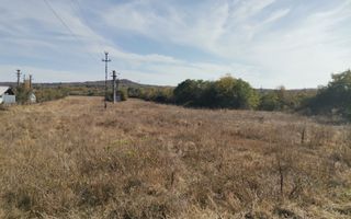 Vanzare teren arabil 22 Ha, plan, Arges, Moraresti - Poză 8