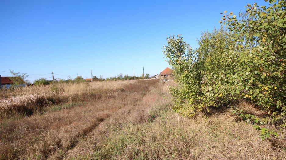 Teren de vanzare in suprafata de 5500 mp in loc.Nitchidorf - Poză 8