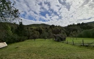 Teren Intravilan de Vânzare – 4000 mp – Râu Sadului - Poză 3