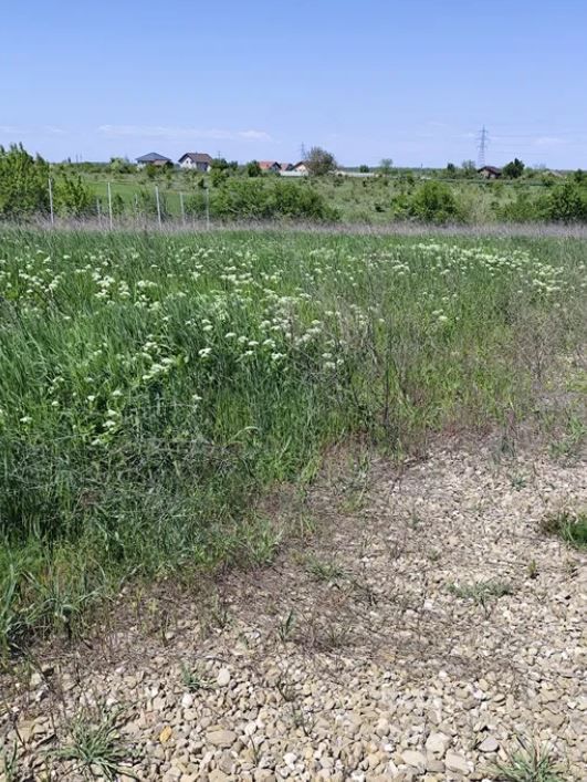 Teren intravilan Peris | 400 mp | Oportunitate investitie - Poză 7