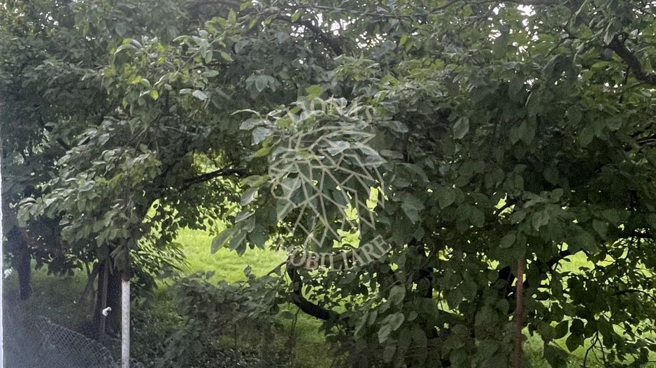 Apartament 2 camere, parter,  balcon, mobilat/utilat, Unirea - Poză 5