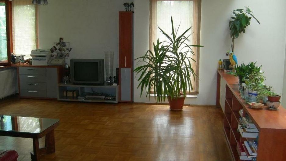 Vilă de vânzare în Sectorul 2, locuit plus potenţial pentru venit pasiv - Poză 5