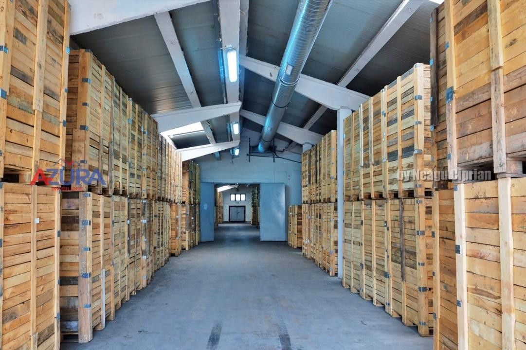 COMISION 0% - HALE Calinesti Arges - Poză 24