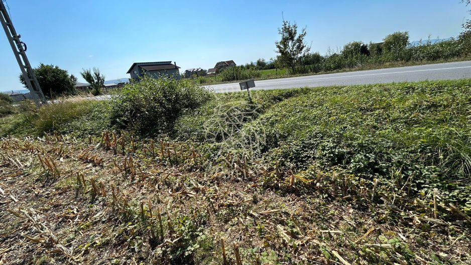 Teren 1000 mp-panoramic-zona in plina dezvoltare- Jelna - Poză 4
