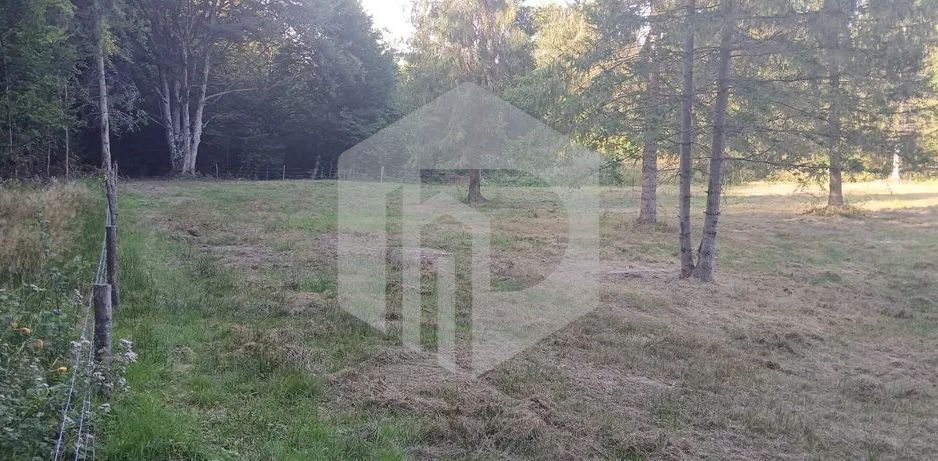 Teren Valea Avrigului- 900 mp- Intravilan+ Certificat de urbanism - Poză 2