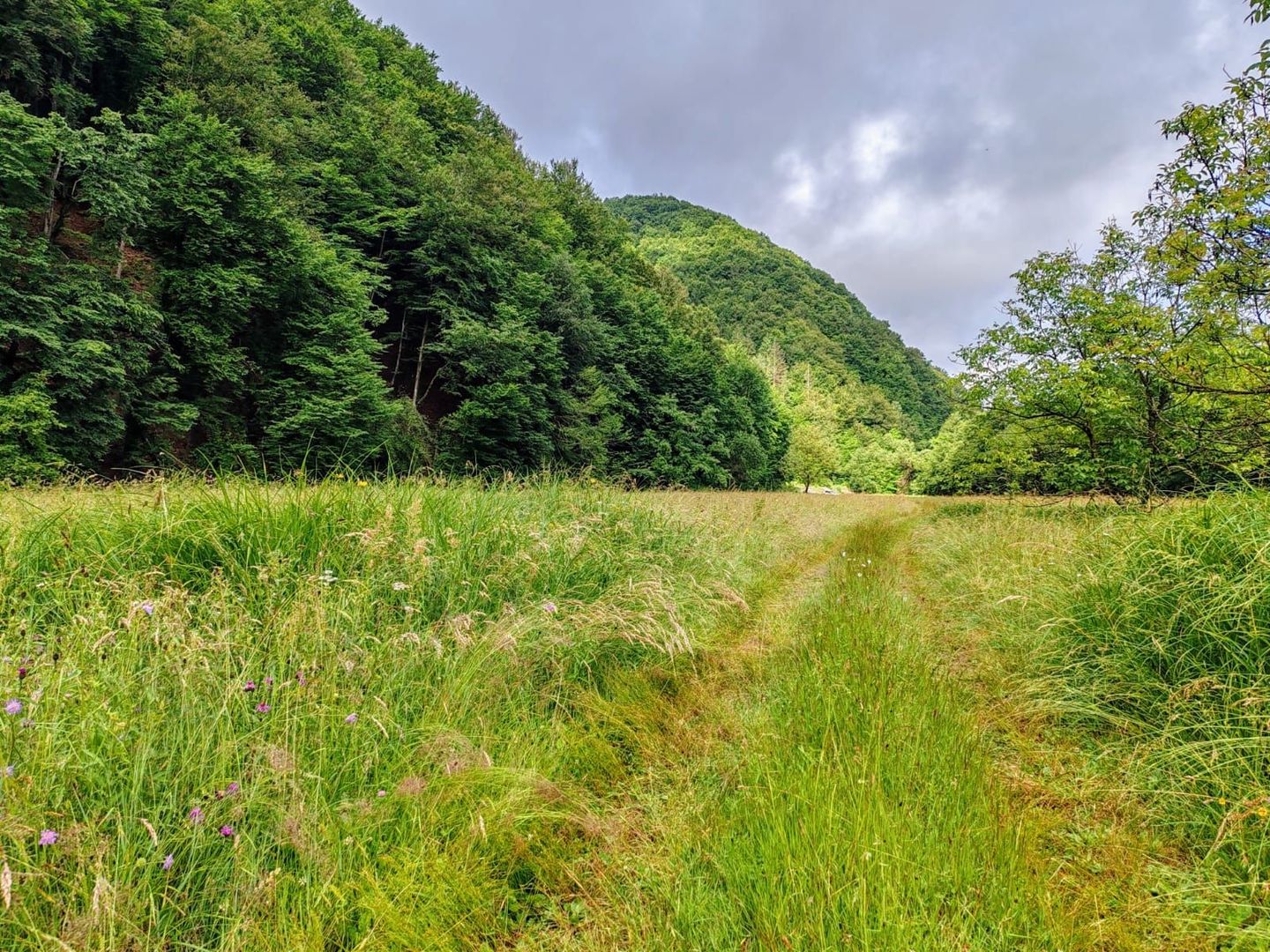 2,8 Ha Teren Extravilan cu Pârâu - Negreni, Cluj - Poză 12