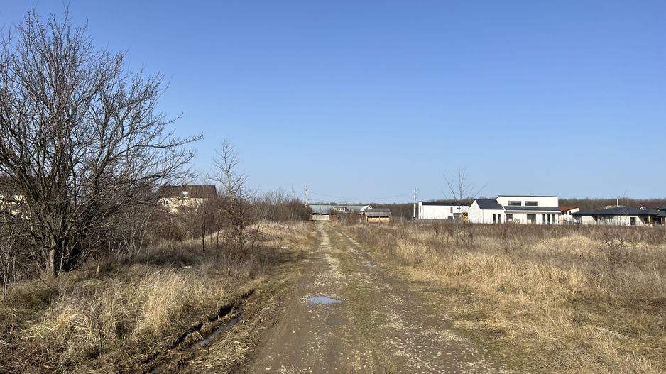 Teren Balotesti - Privighetorilor (Parcului Edenland) - Poză 6